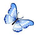 butterfly1